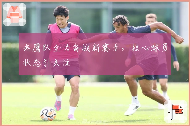 老鹰队全力备战新赛季，核心球员状态引关注